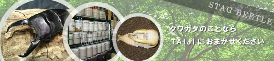 �N���K�^�̂��ƂȂ�s�`�h�i�h�ɂ��܂�����������